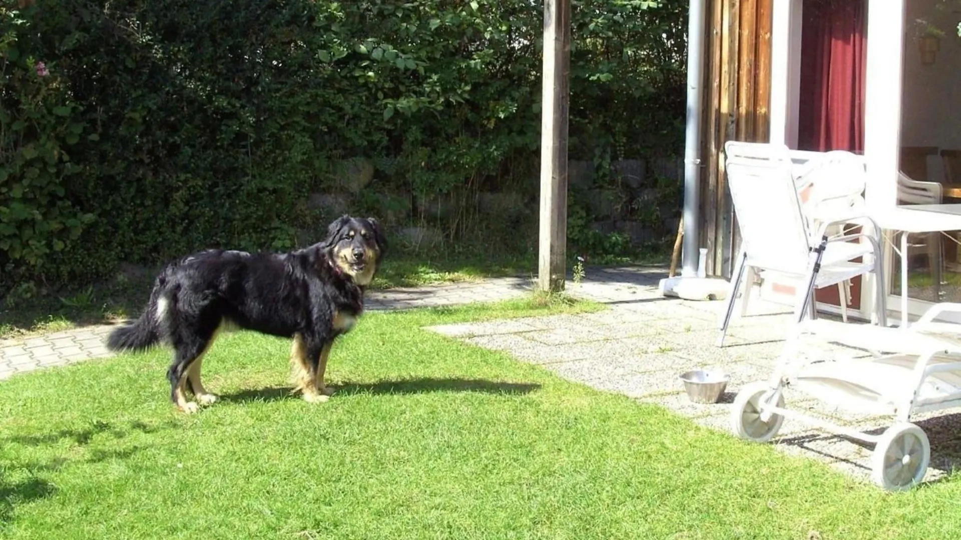 Ferienhaus In Zandt Mit Garten, Terrasse Und Grill location